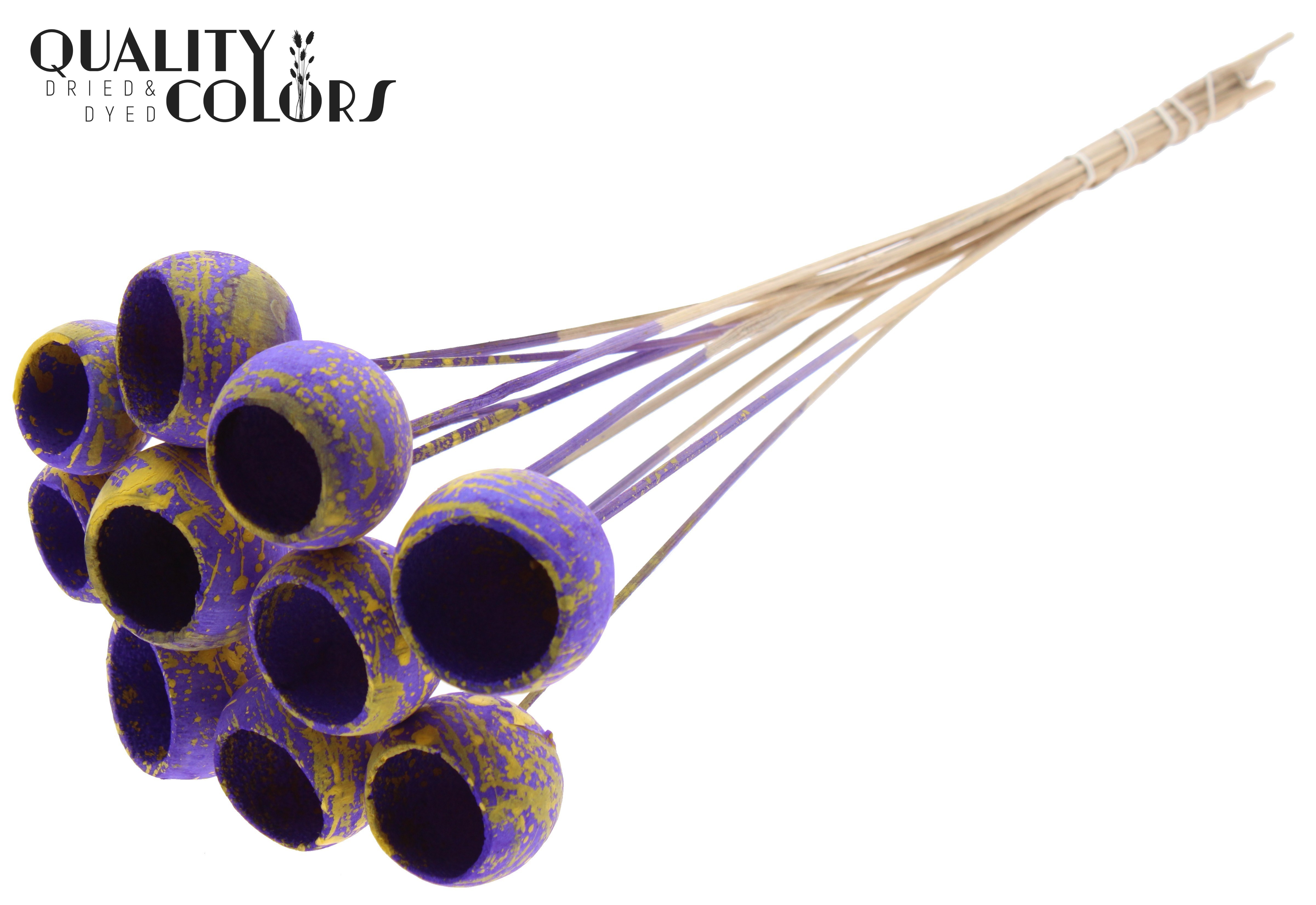 Bell Cup Splashed Purple Yellow 50cm