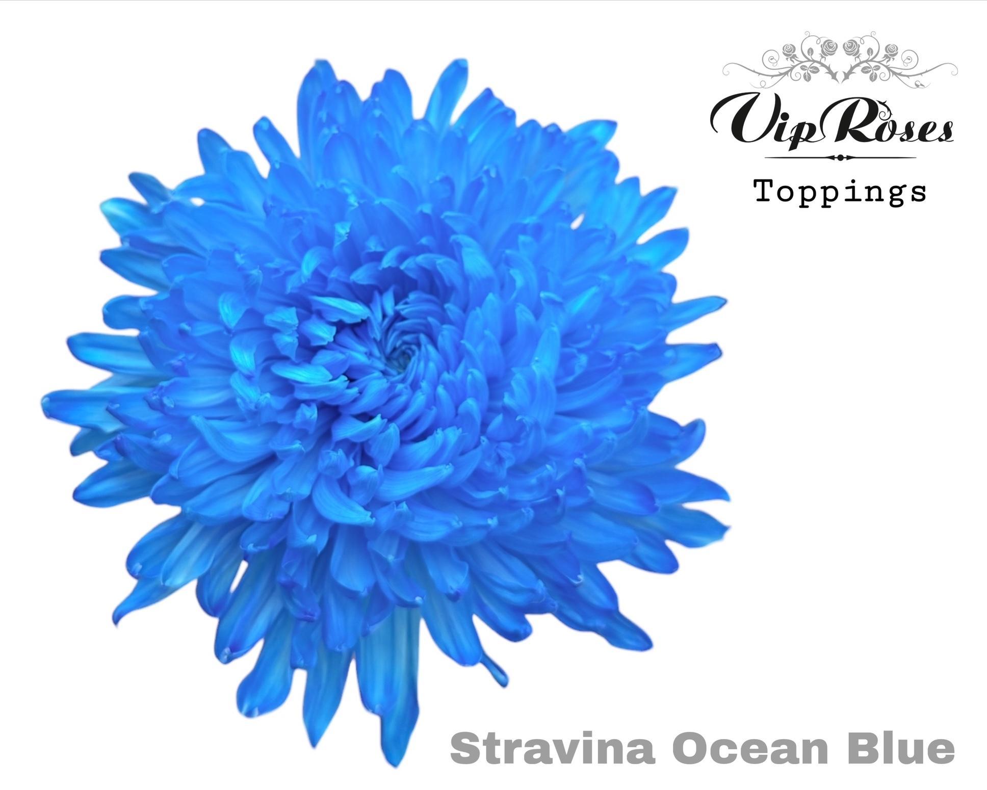 Chr G Stravina Ocean Blue