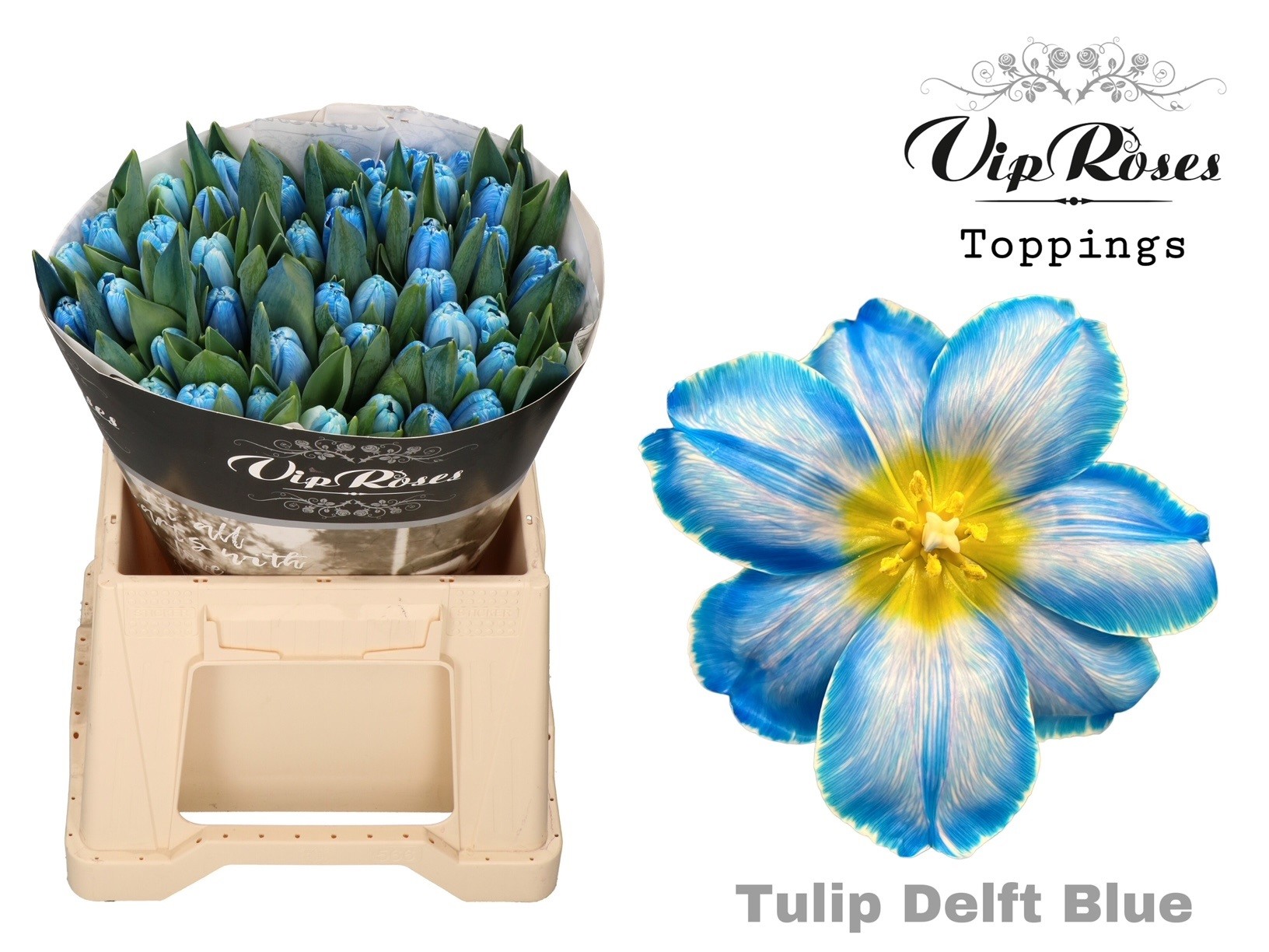 Tu En A Delft Blue 40 cm
