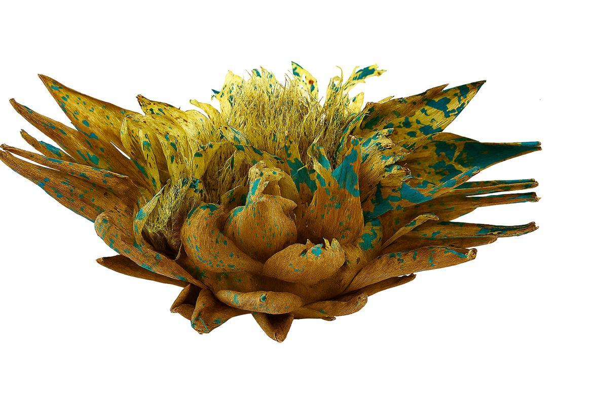Dried Artz Cynara Heads Van Gogh